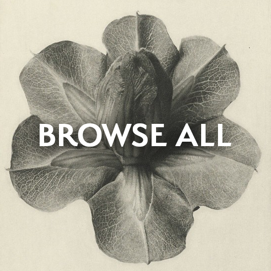 Browse all